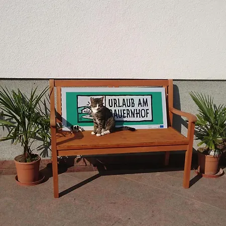 Schleicherhof Iii Holiday home *