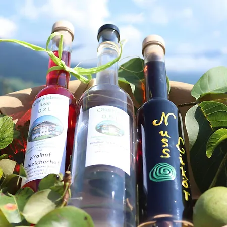 Schleicherhof Iii Strass im Zillertal