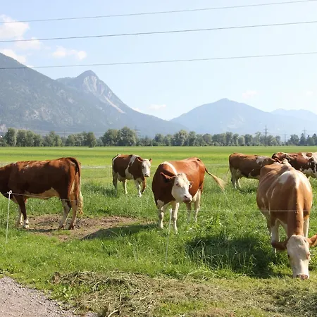 Schleicherhof Iii Holiday home Strass im Zillertal