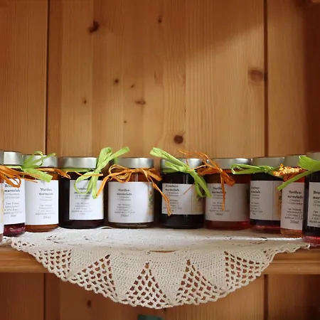 Schleicherhof Iii * שטראס אים זילרטל