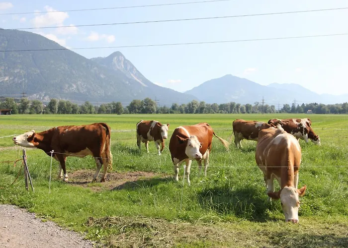 Schleicherhof Iii Holiday home Strass im Zillertal