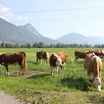 Schleicherhof Iii Сasa de vacaciones Strass im Zillertal