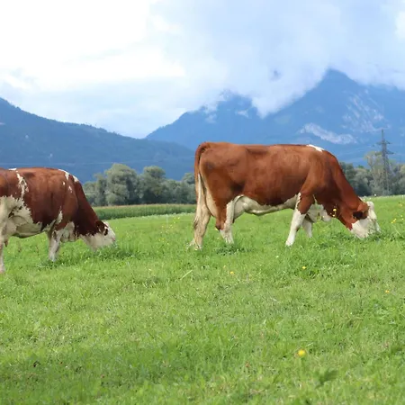 Schleicherhof Iii *